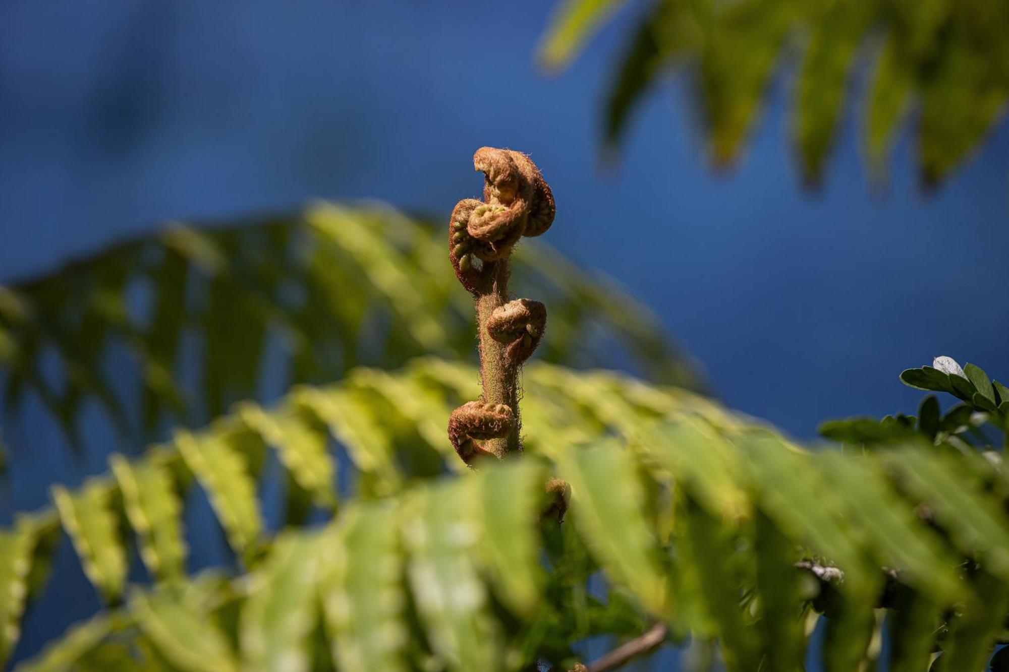Sumba Lodge Nationalpark Nationalpark Manuel Antonio Exterior foto
